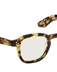 Moscot Momza Heritage Tortoise