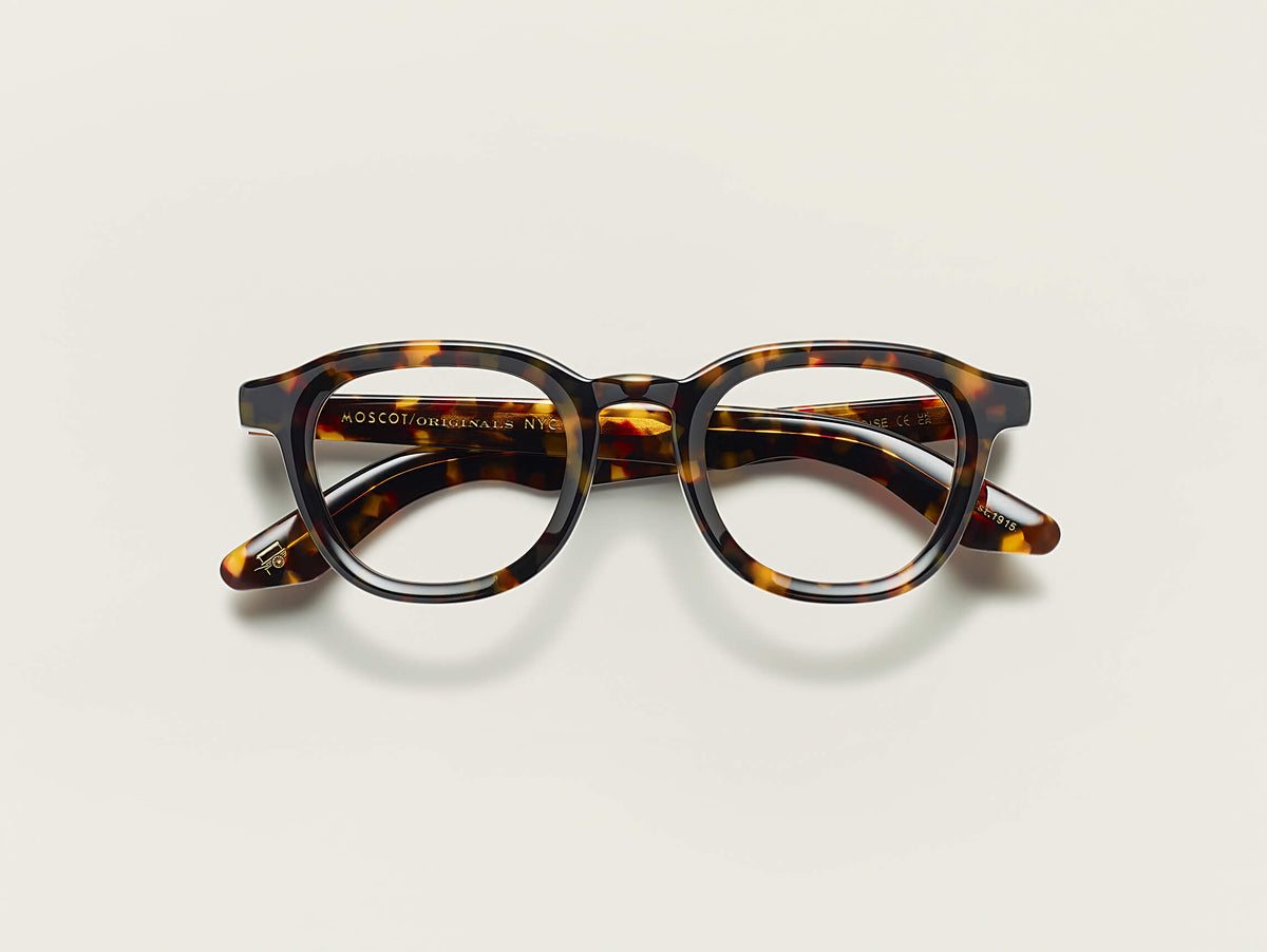 Moscot Dahven Tortoise
