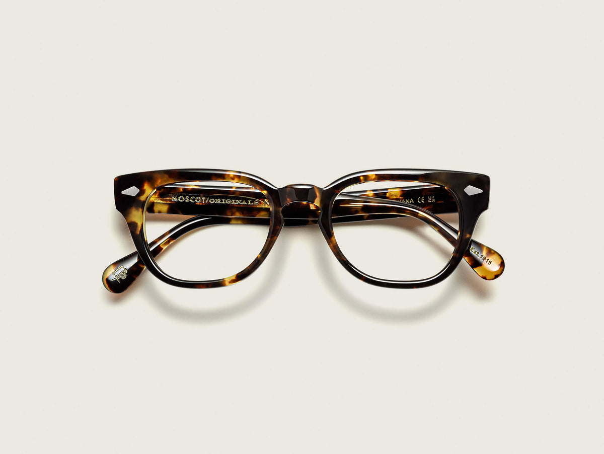 Moscot Hazen Classic Havana