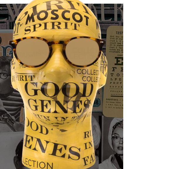 Moscot Frankie CLASSIC HAVANA - Ottica Pietroni.it