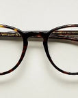 Moscot Jared Tortoise