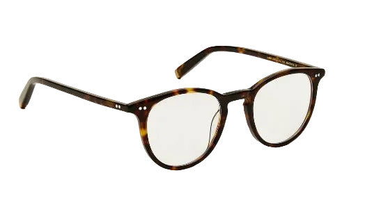 Moscot Jared Tortoise