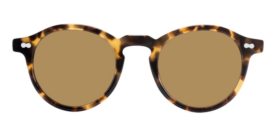 Moscot Miltzen Classic Havana - Ottica Pietroni.it